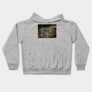 Photo of River Rock with Bridge in Background - Tomahawk Creek Overland Park KS Kids Hoodie